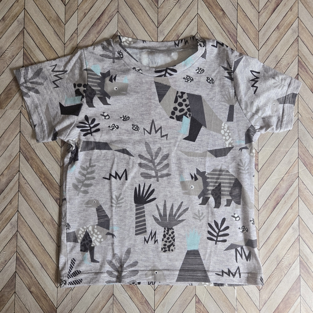 Boys Dinosaur T-Shirt Grey Short Sleeve Cartoon Dino Tee Prehistoric Soft Top